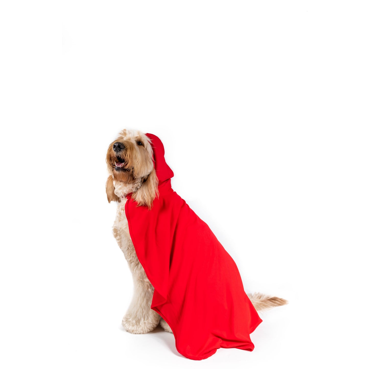 Little Red Ridding hood Pet Costume