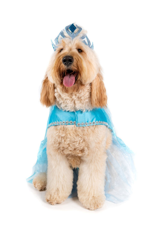 Frozen Queen Pet Costume