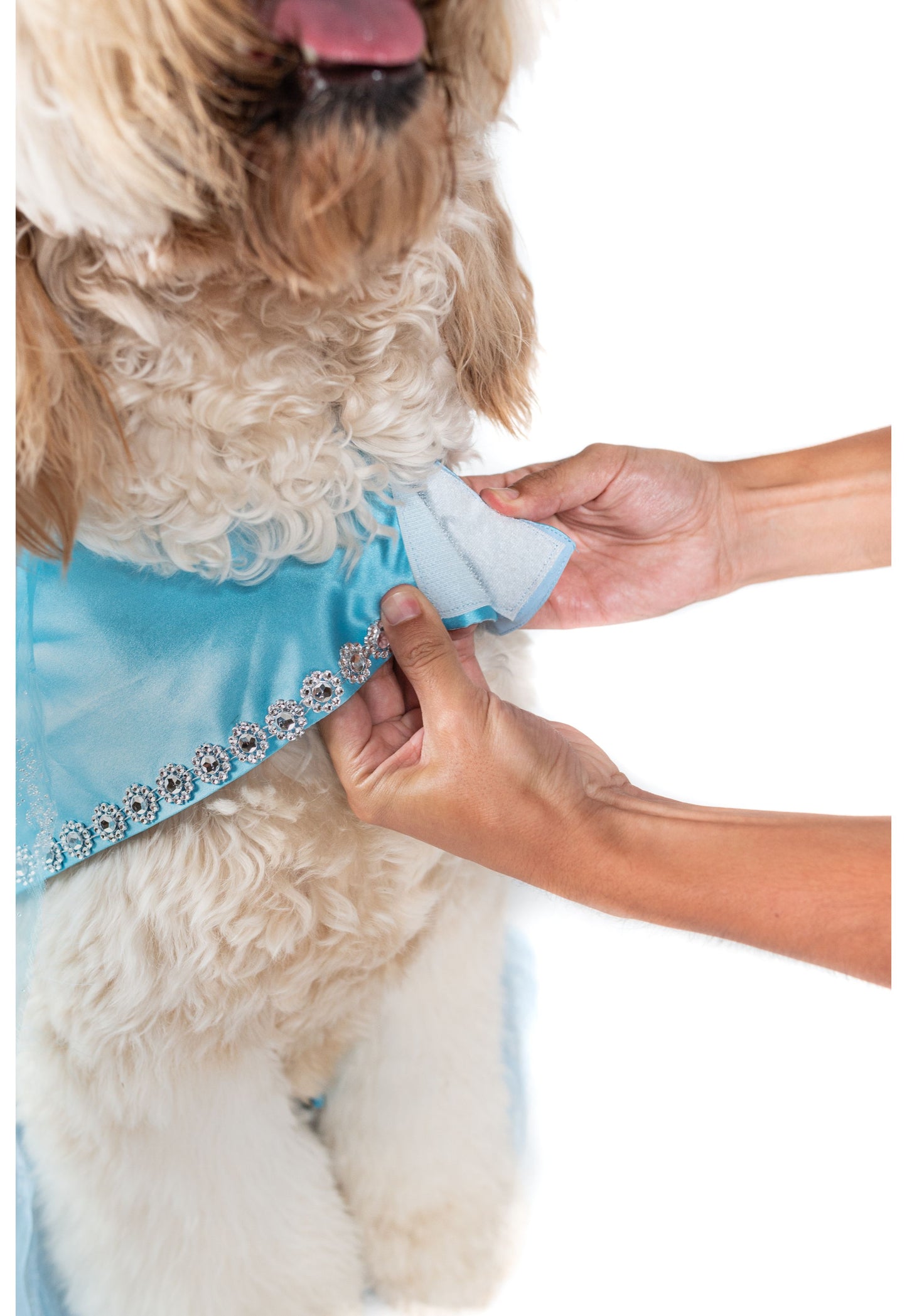 Frozen Queen Pet Costume