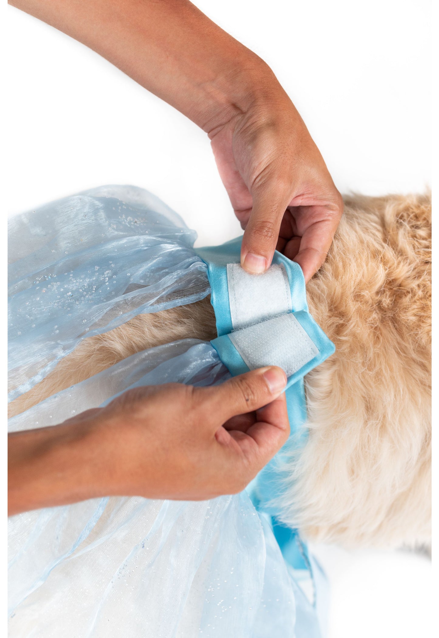 Frozen Queen Pet Costume