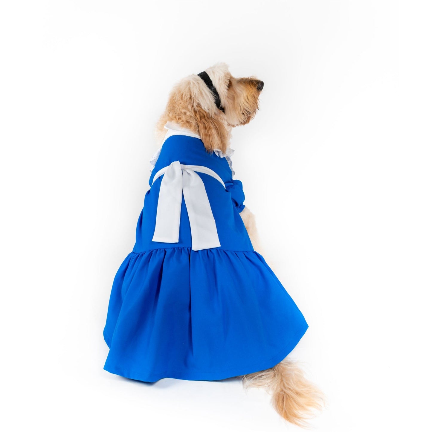 Down the Rabbit Hole Pet Costume