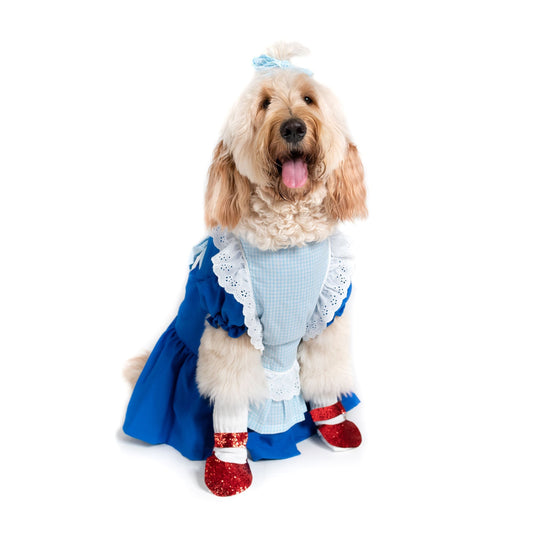 Follow the Yellow Brick Road Pet Costume