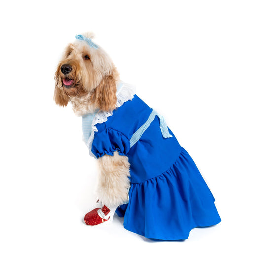 Follow the Yellow Brick Road Pet Costume