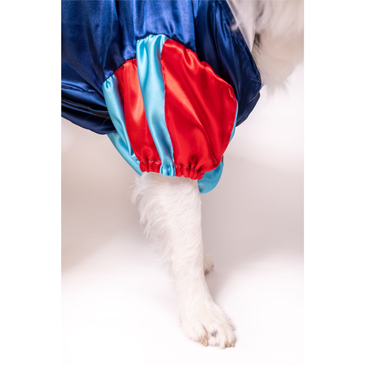 Snow White Pet Costume