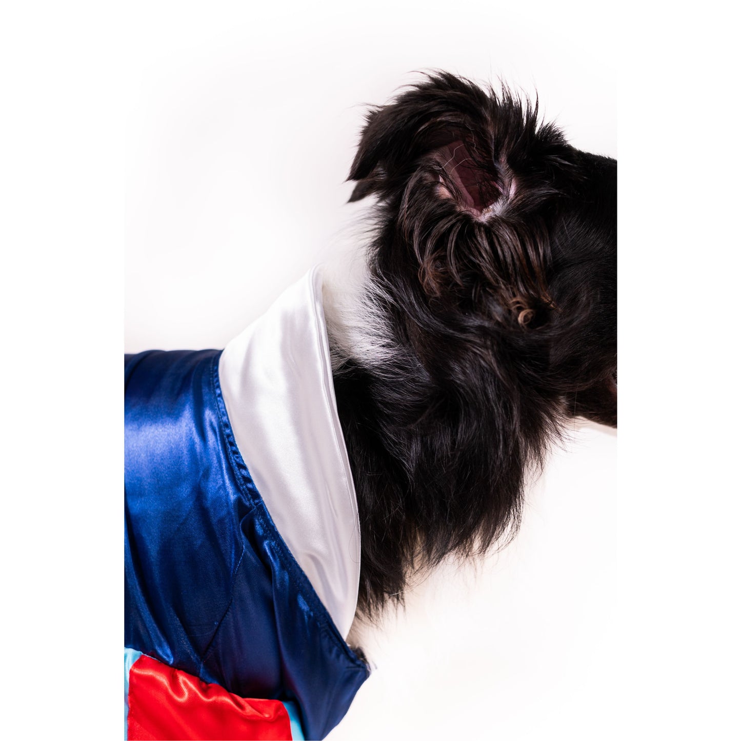 Snow White Pet Costume