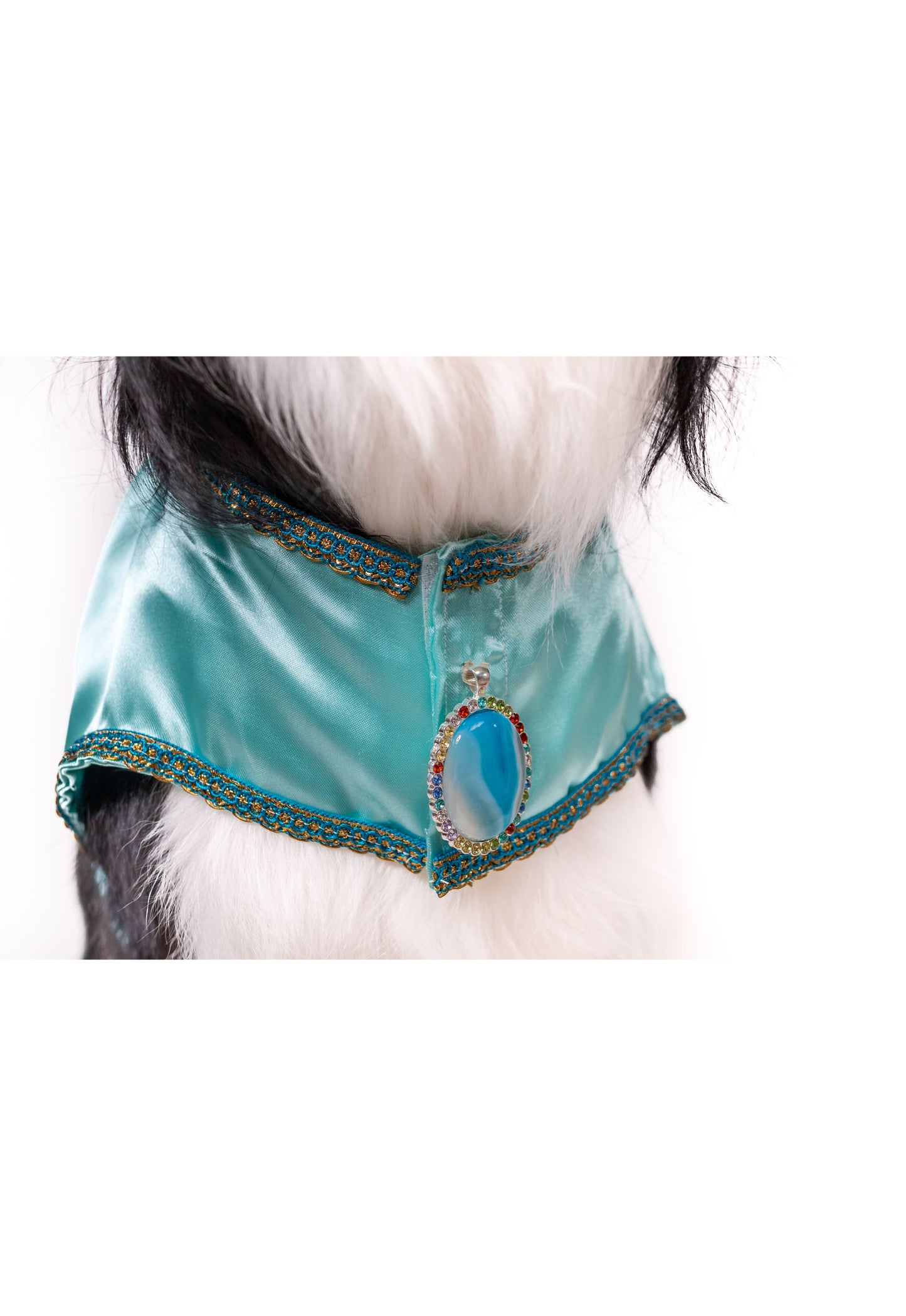 Queen of Agraba Pet Costume