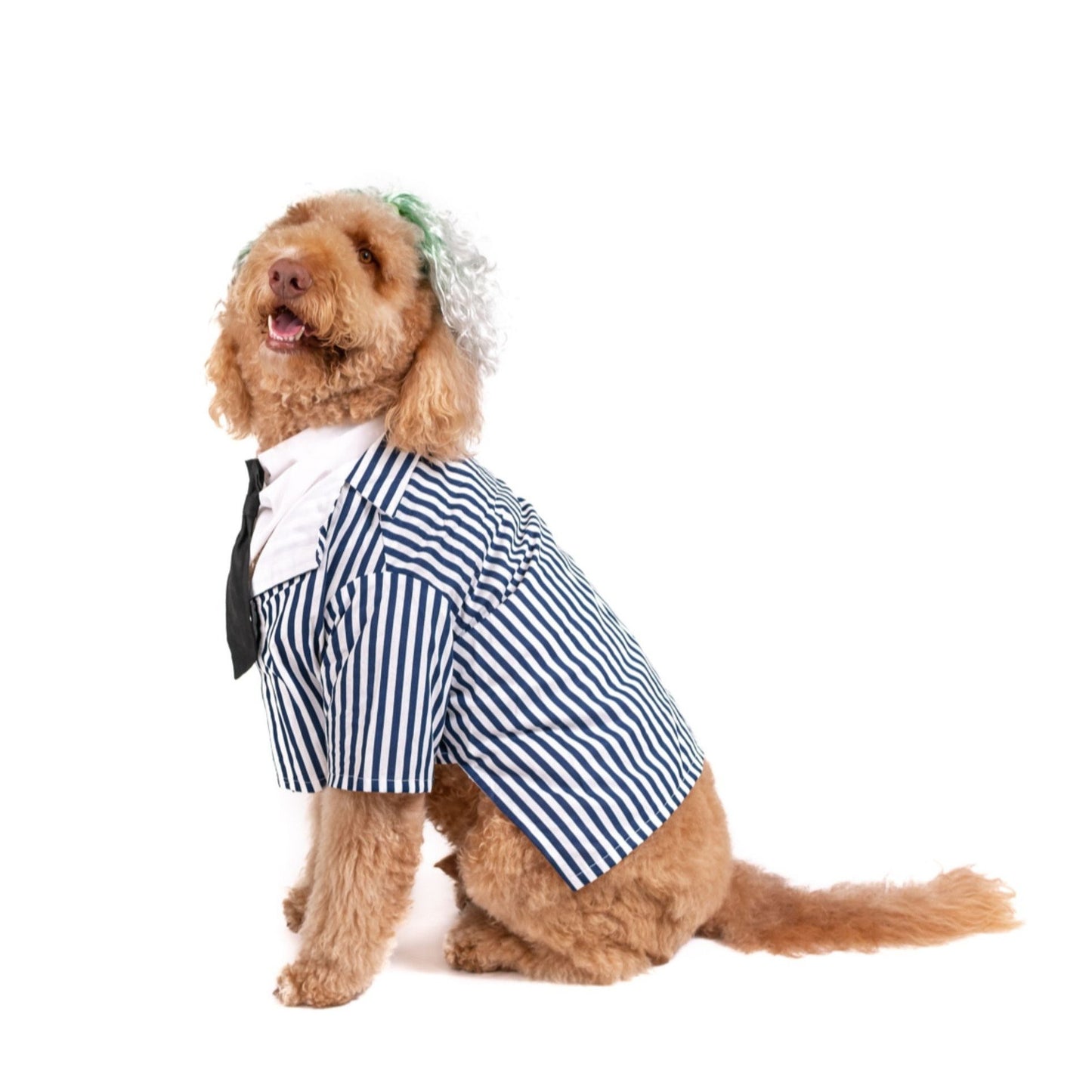 Doodlegeuse  Pet Costume