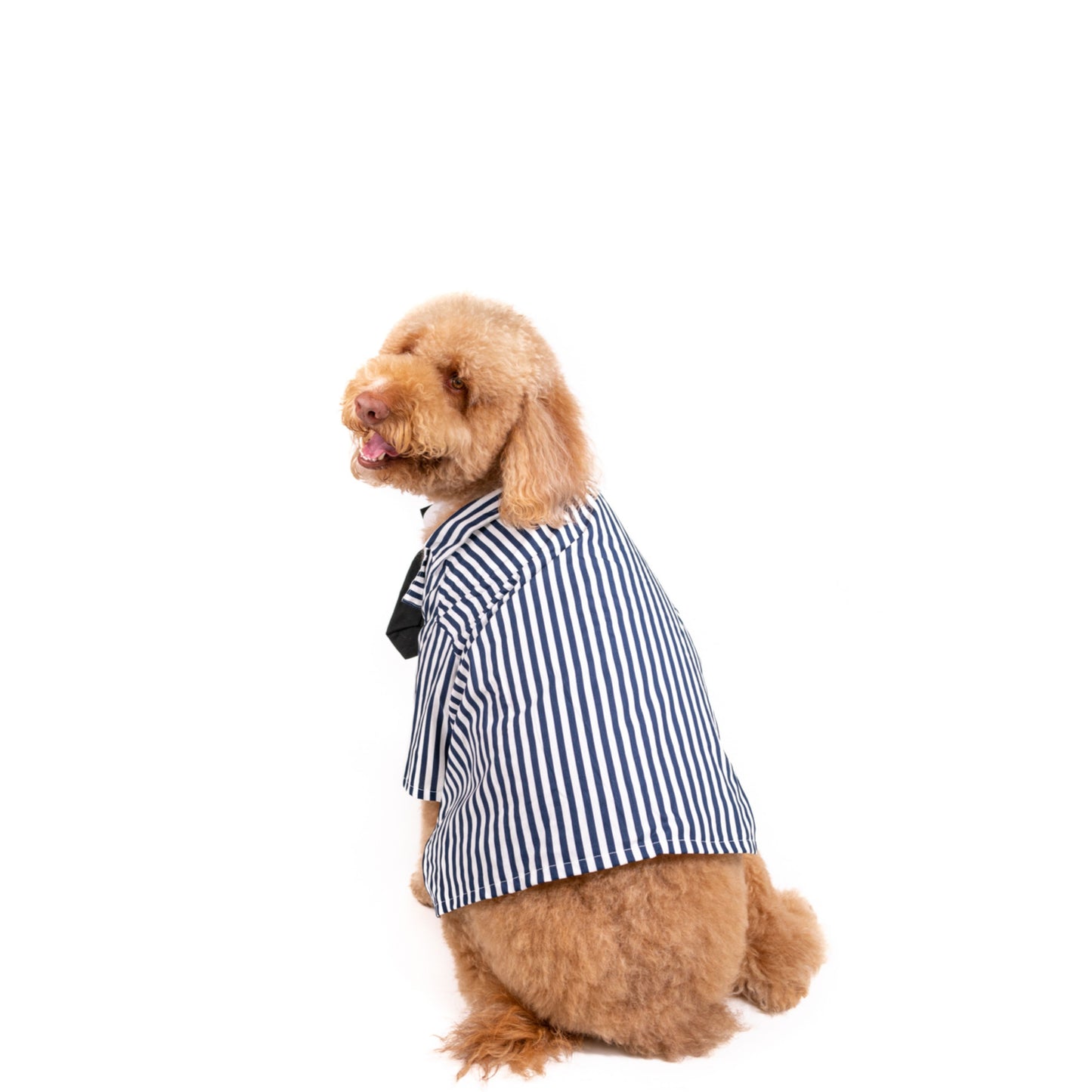 Doodlegeuse  Pet Costume
