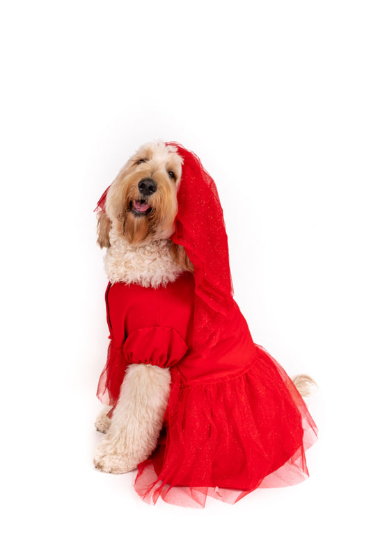 Roja Sangre Lydia Pet Costume