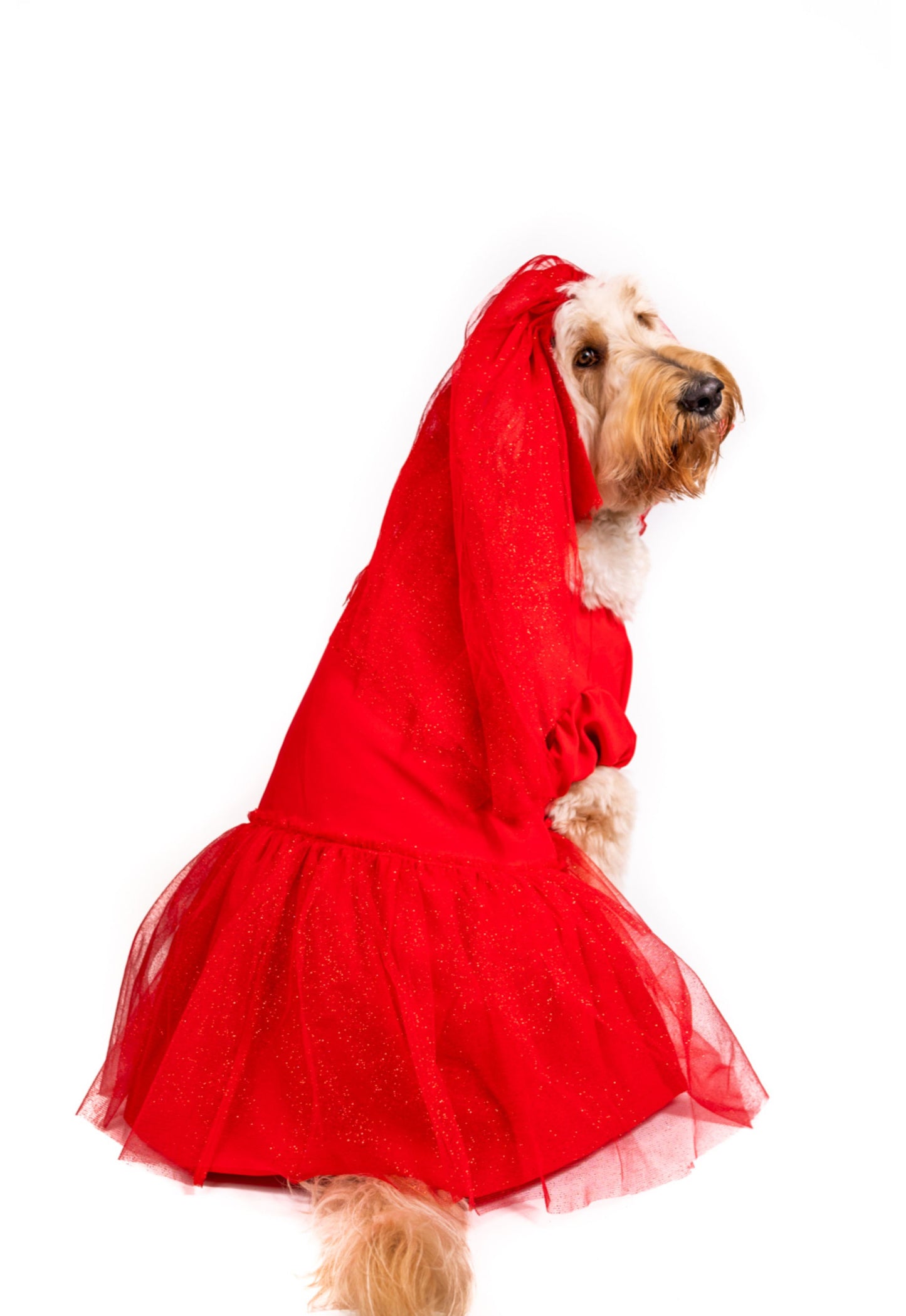 Roja Sangre Lydia Pet Costume