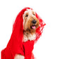 Roja Sangre Lydia Pet Costume