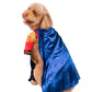 Charming Prince Pet Costume