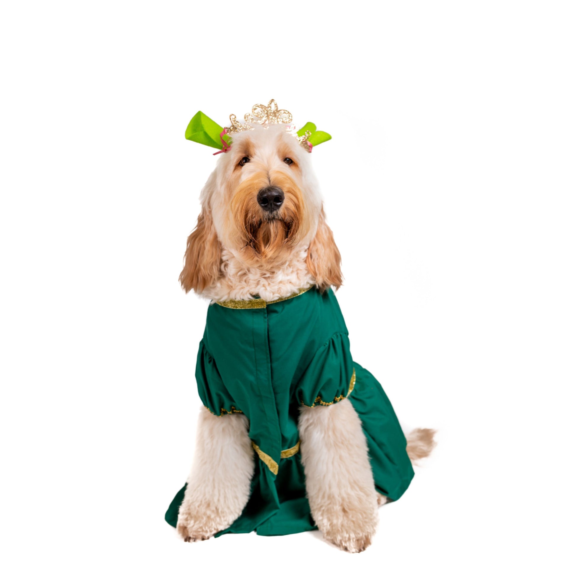 Ogre Princess Pet Costume – enJoy Pet Atelier Ogre Princess Pet Costume – enJoy Pet Atelier