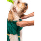 Ogre Princess Pet Costume