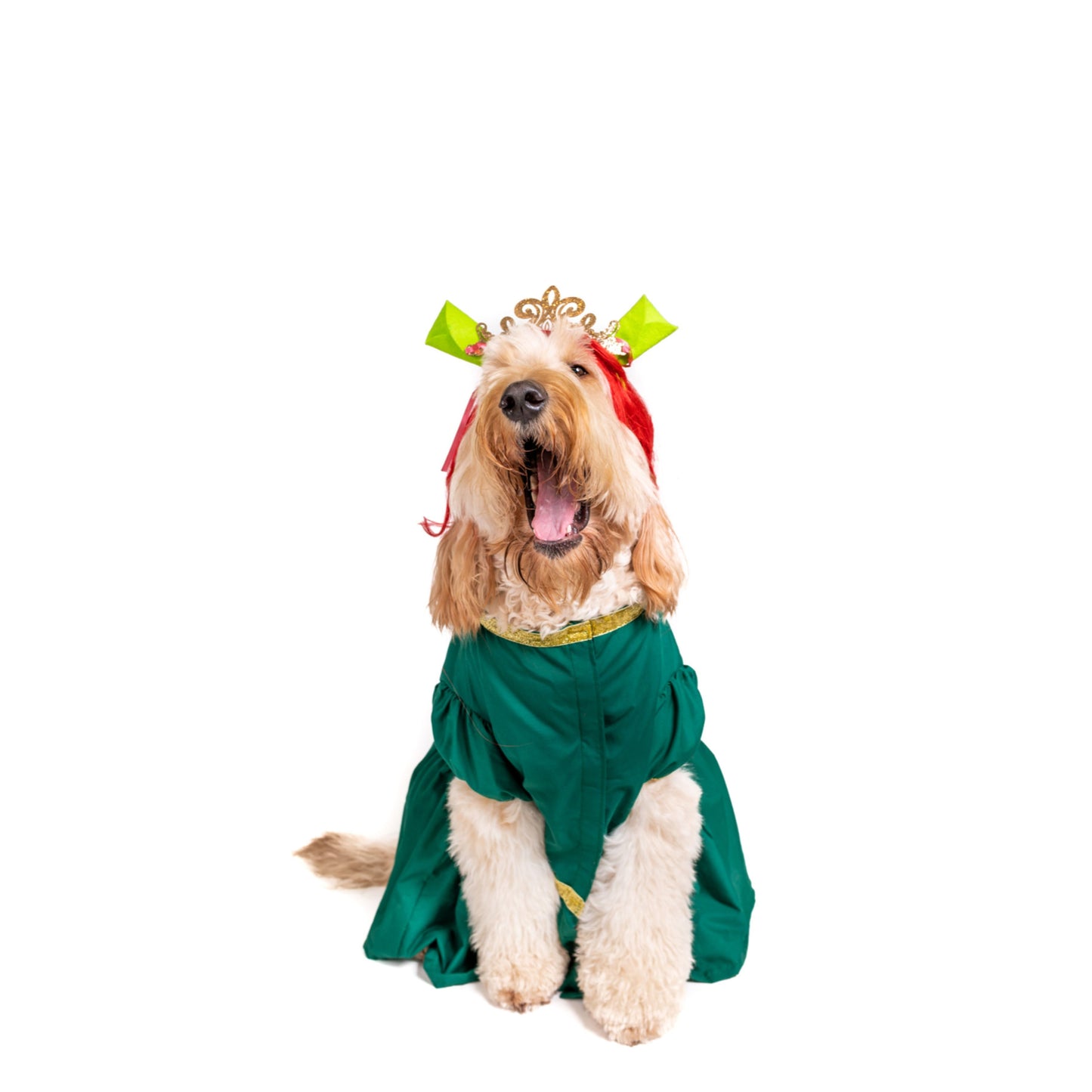 Ogre Princess Pet Costume
