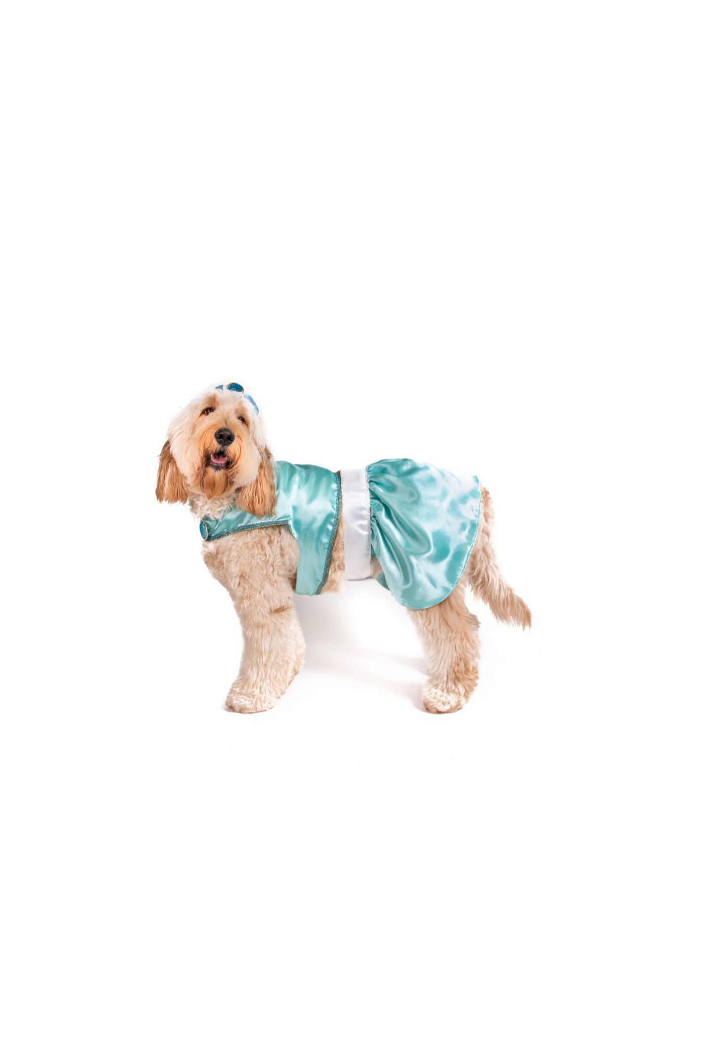 Queen of Agraba Pet Costume