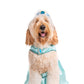 Queen of Agraba Pet Costume
