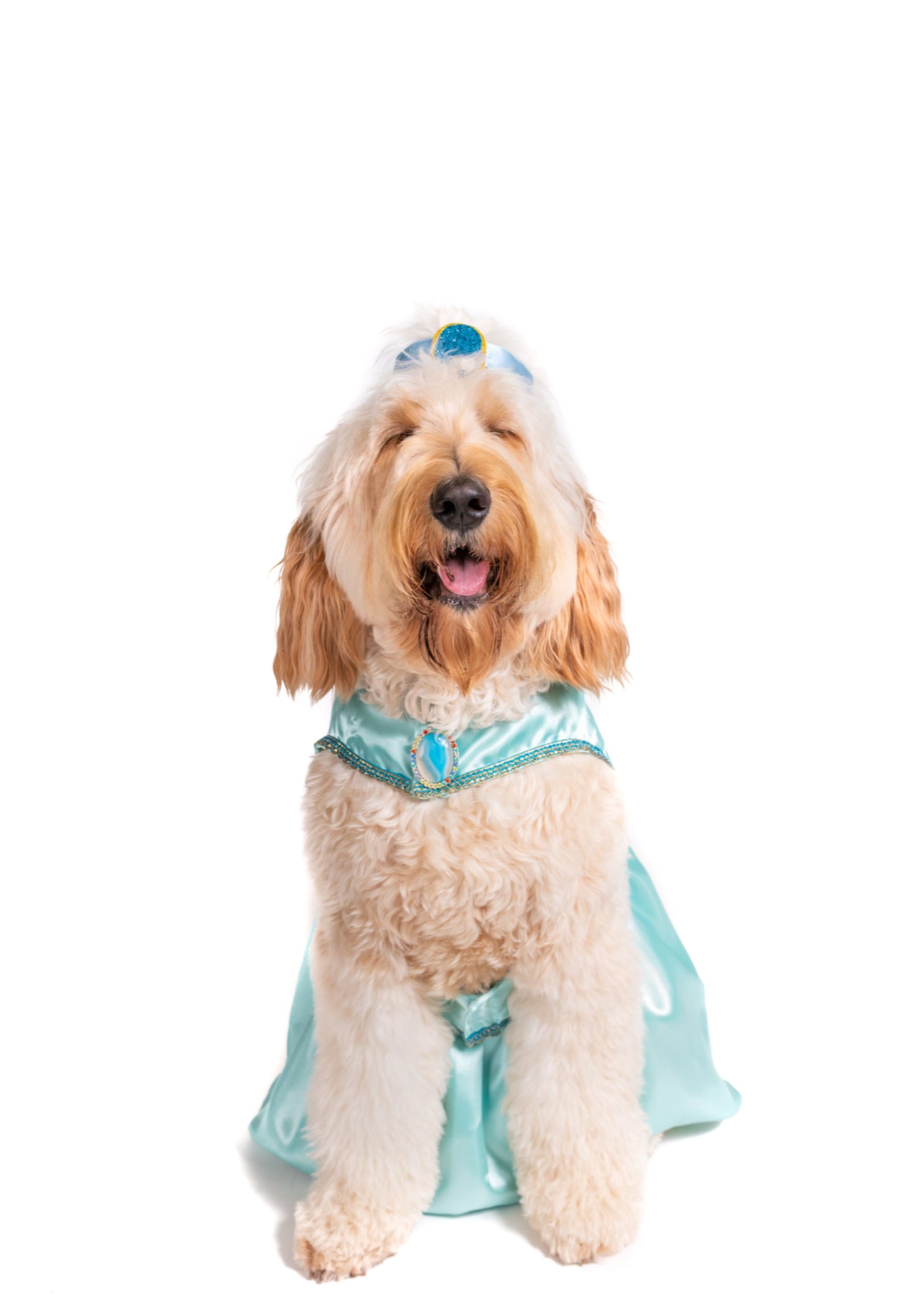 Queen of Agraba Pet Costume
