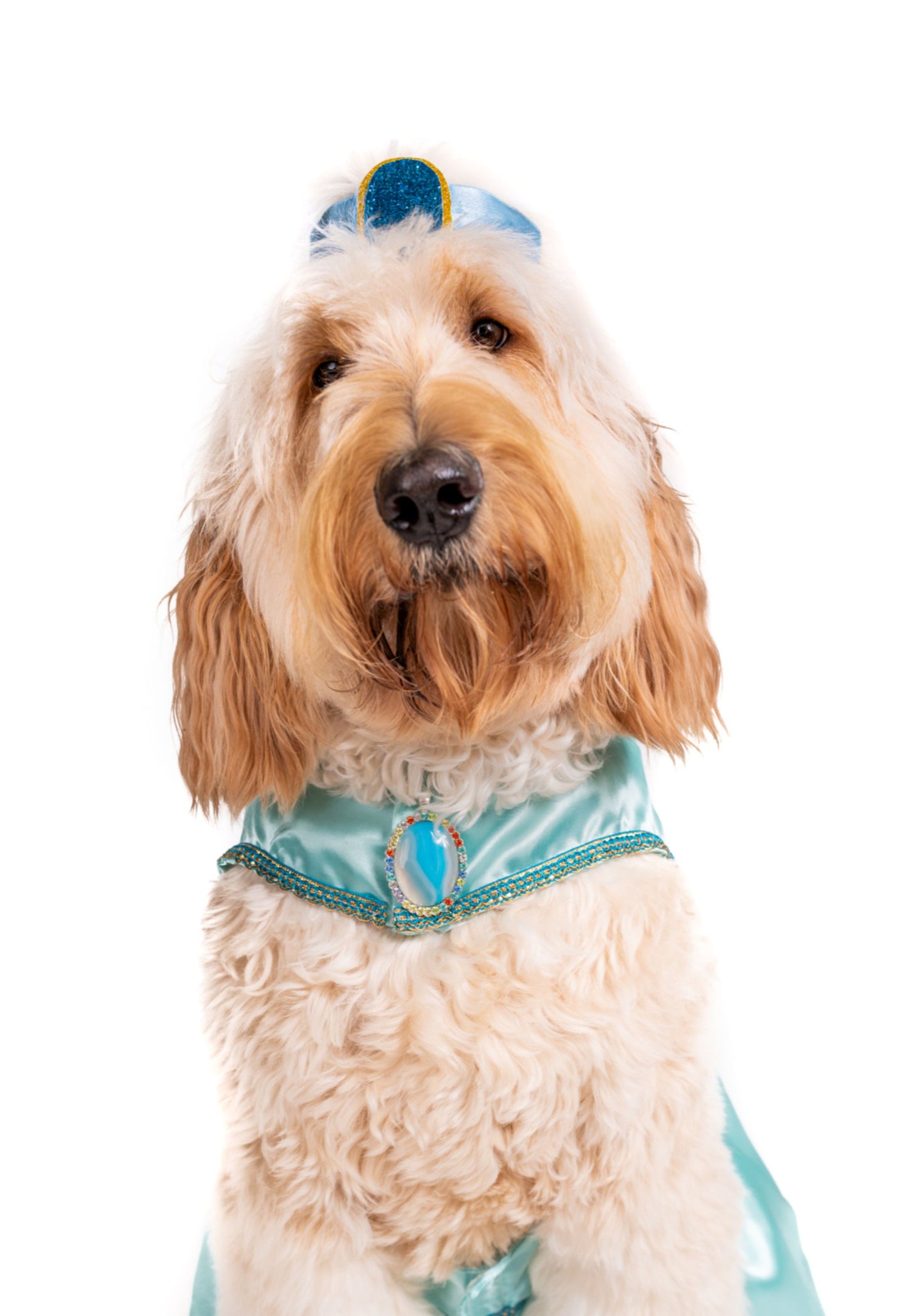 Queen of Agraba Pet Costume