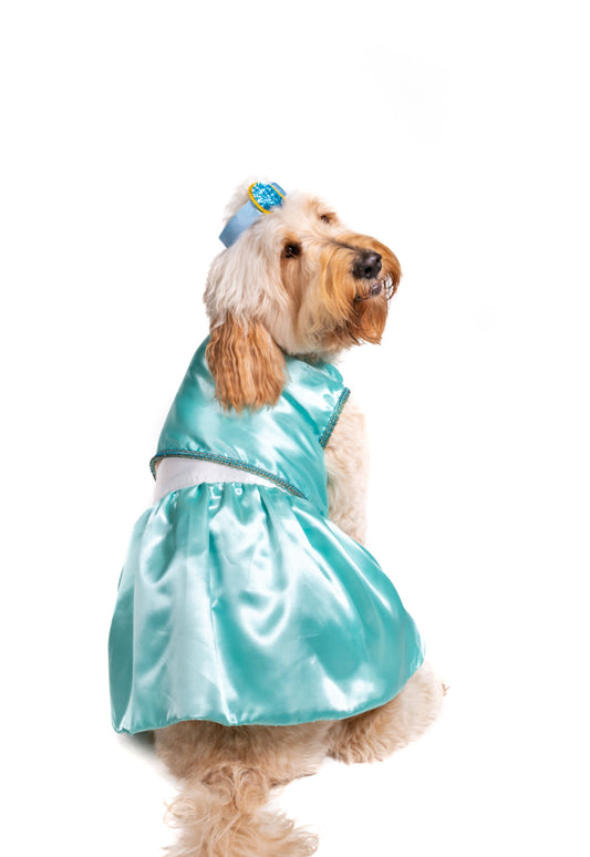 Queen of Agraba Pet Costume