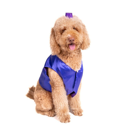 Prince of Thieves Pet Costume