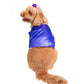 Prince of Thieves Pet Costume