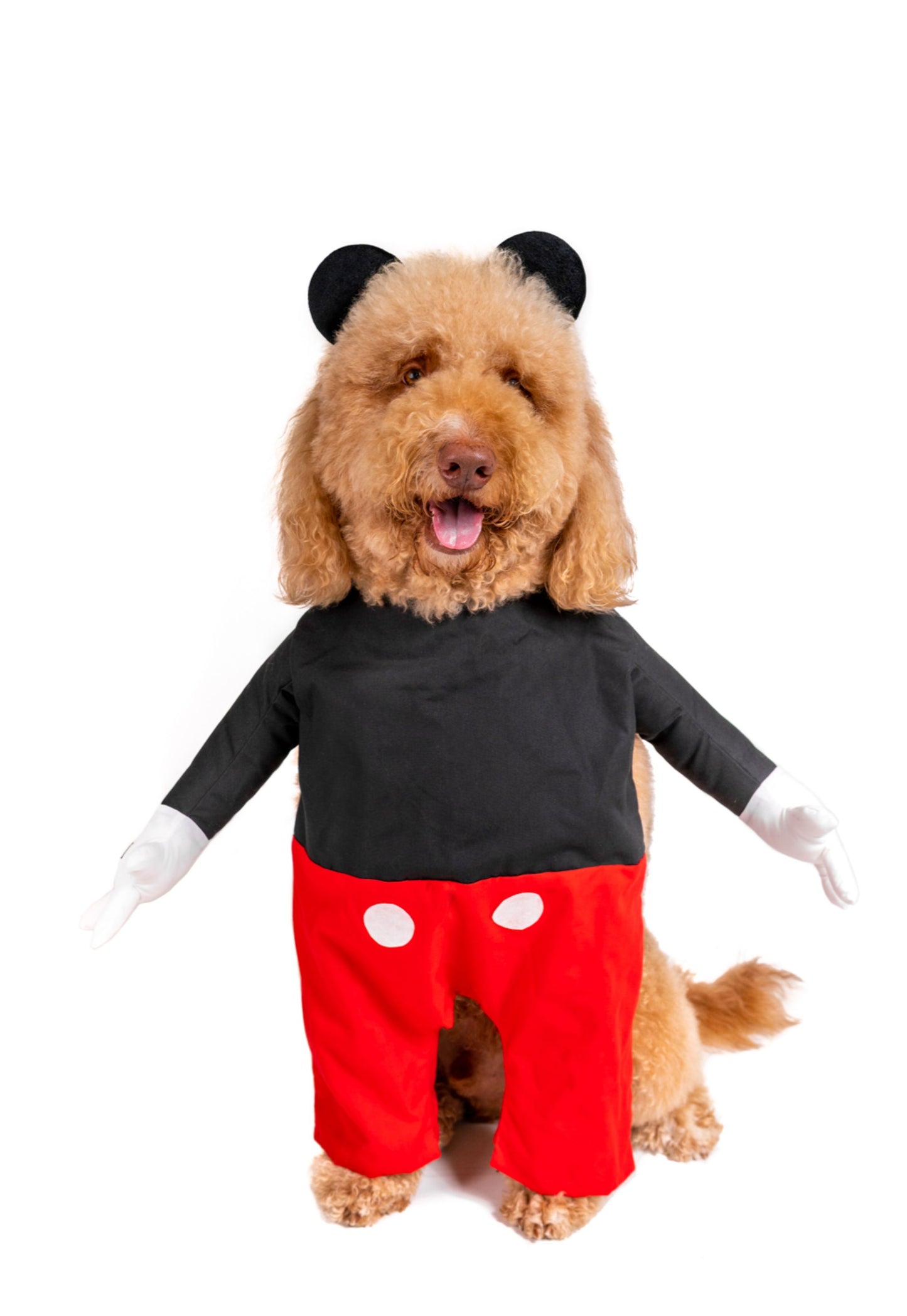 M. Mouse Pet Costume