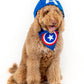 Pawptain America Pet Bandana