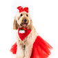 Reindeer Red Xmas Pet Bandana with Tutu