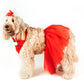 Reindeer Red Xmas Pet Bandana with Tutu