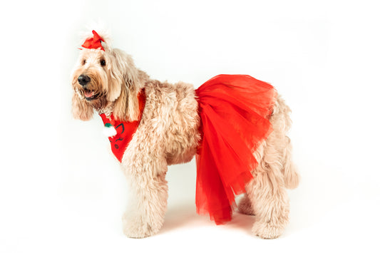 Reindeer Red Xmas Pet Bandana with Tutu