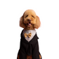 Tuxedo Formal White & Gold