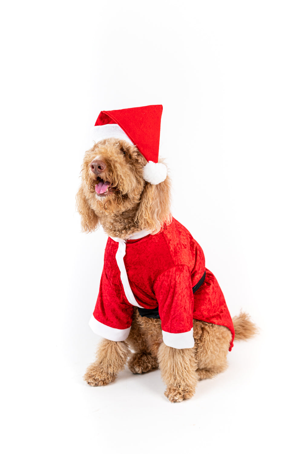 Santa Claus Xmas Pet Costume