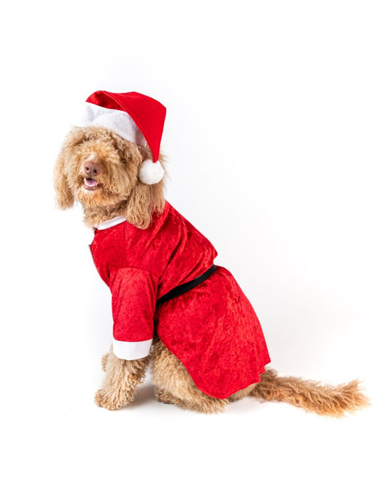 Santa Claus Xmas Pet Costume