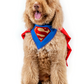 Super Dog Pet Costumes