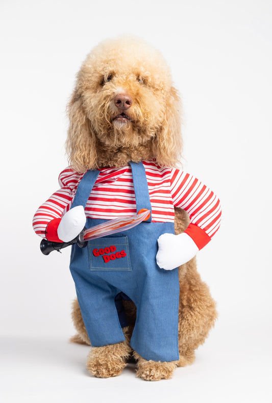 Chucky Pet Custome