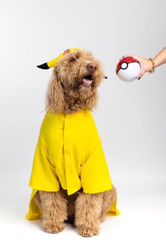 Paw-kachú Pet Costume