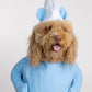 Little Blue Pet Costume