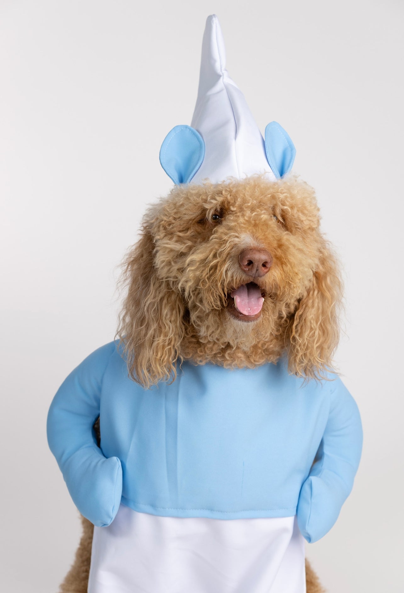 Little Blue Pet Costume