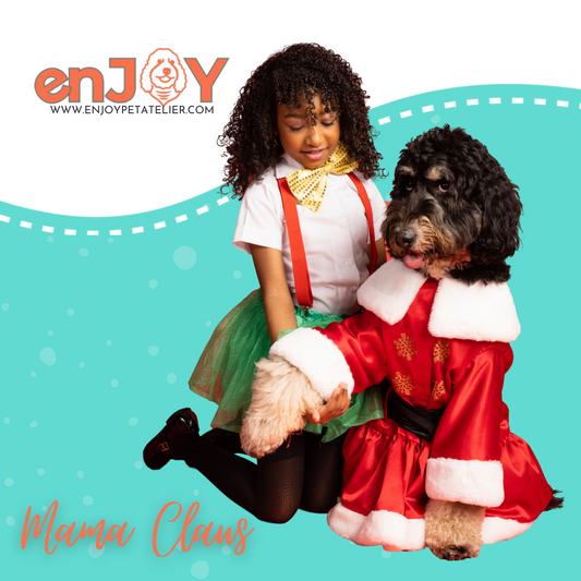 Mama Claus Xmas Pet Costume