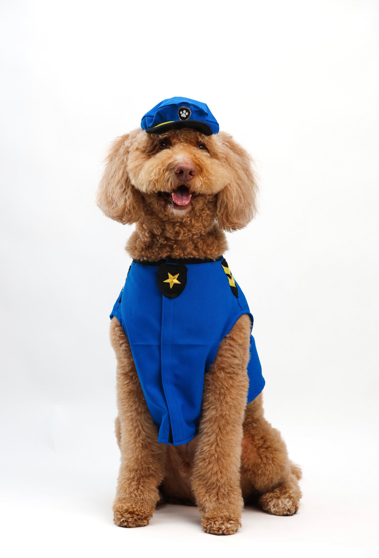 Chase Pet Costume