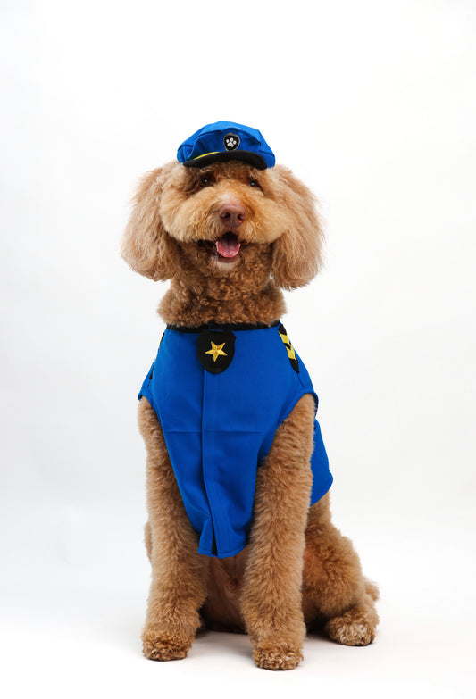 Chase Pet Costume