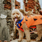 Fred Flinststone Pet Custome