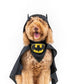 Bark Knight Pet Bandana