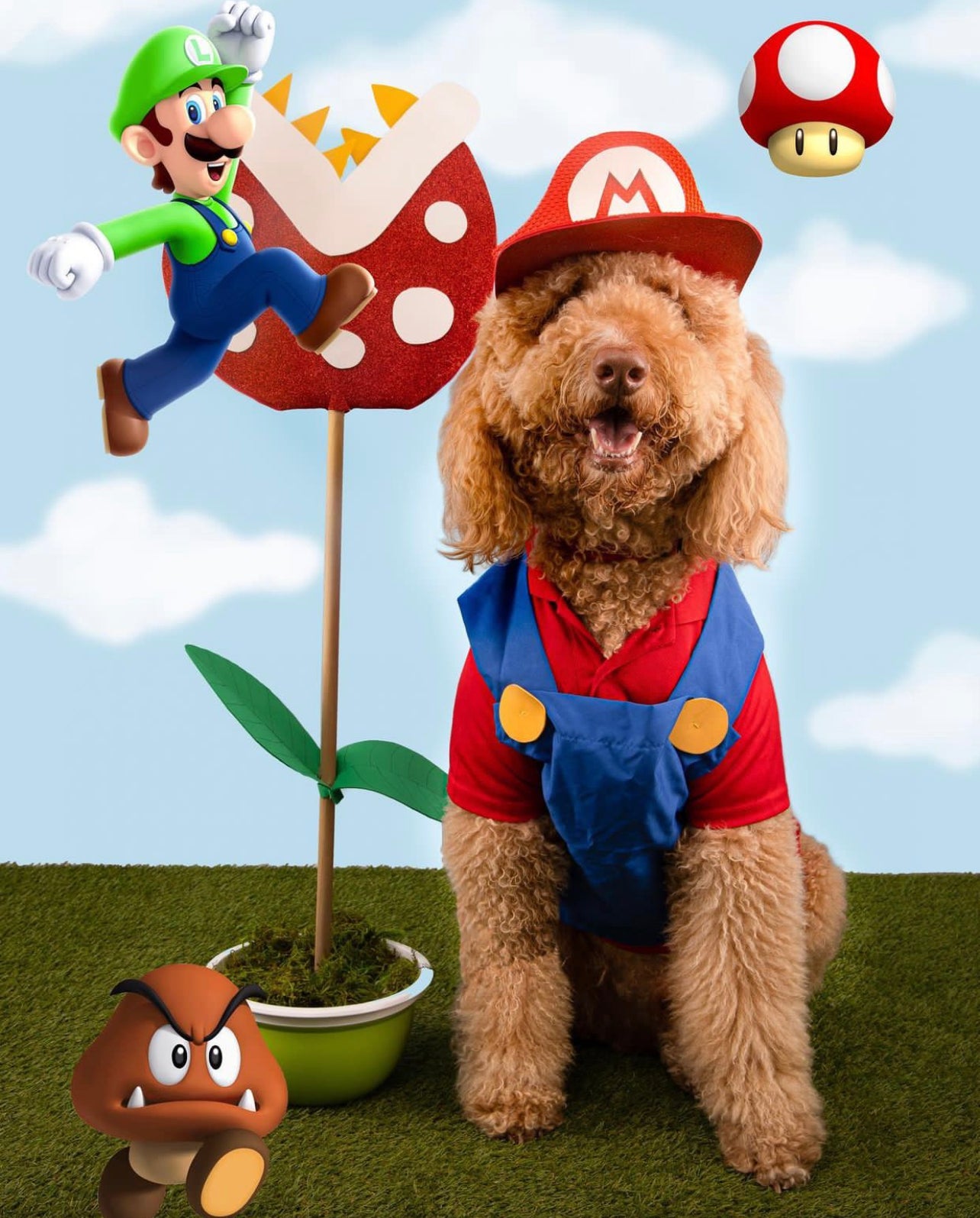 Mario Pet Costume