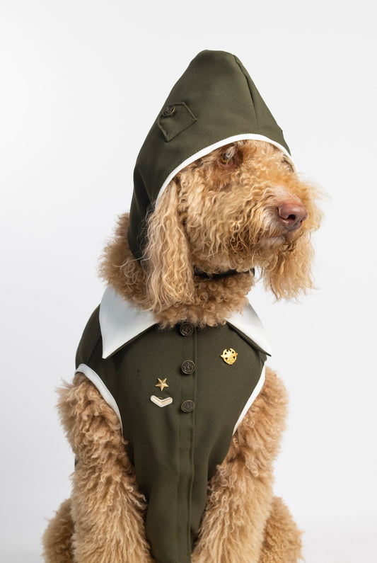 Aviator Dog Costume