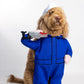 Joy-Son Pet Costume