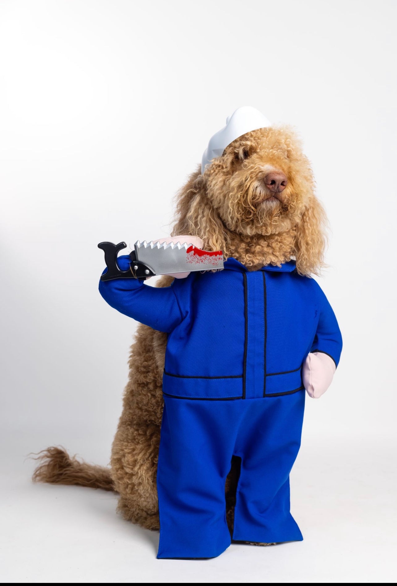 Joy-Son Pet Costume