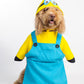 Minions Pet Custome
