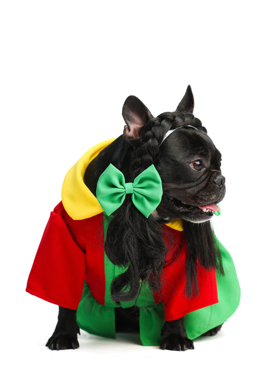 Dogdrina Pet Costume